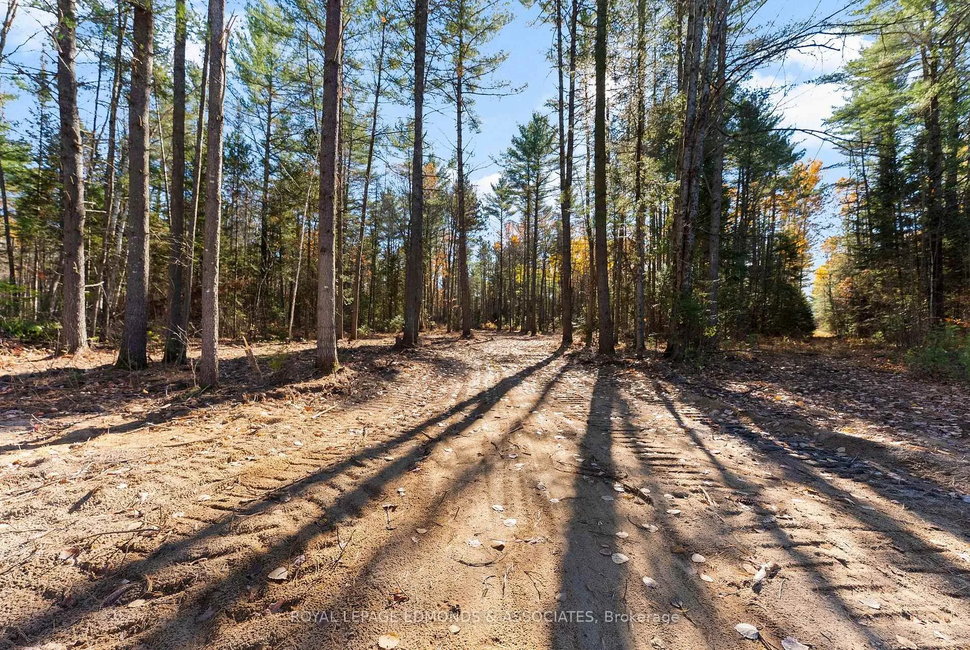 Photo 9 of 100 Nangor Trail, Whitewater Region, Whitewater Region — HOMEH
