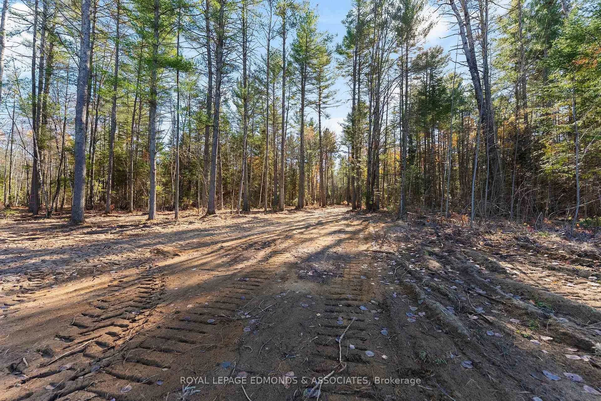 Photo 11 of 100 Nangor Trail, Whitewater Region, Whitewater Region — HOMEH