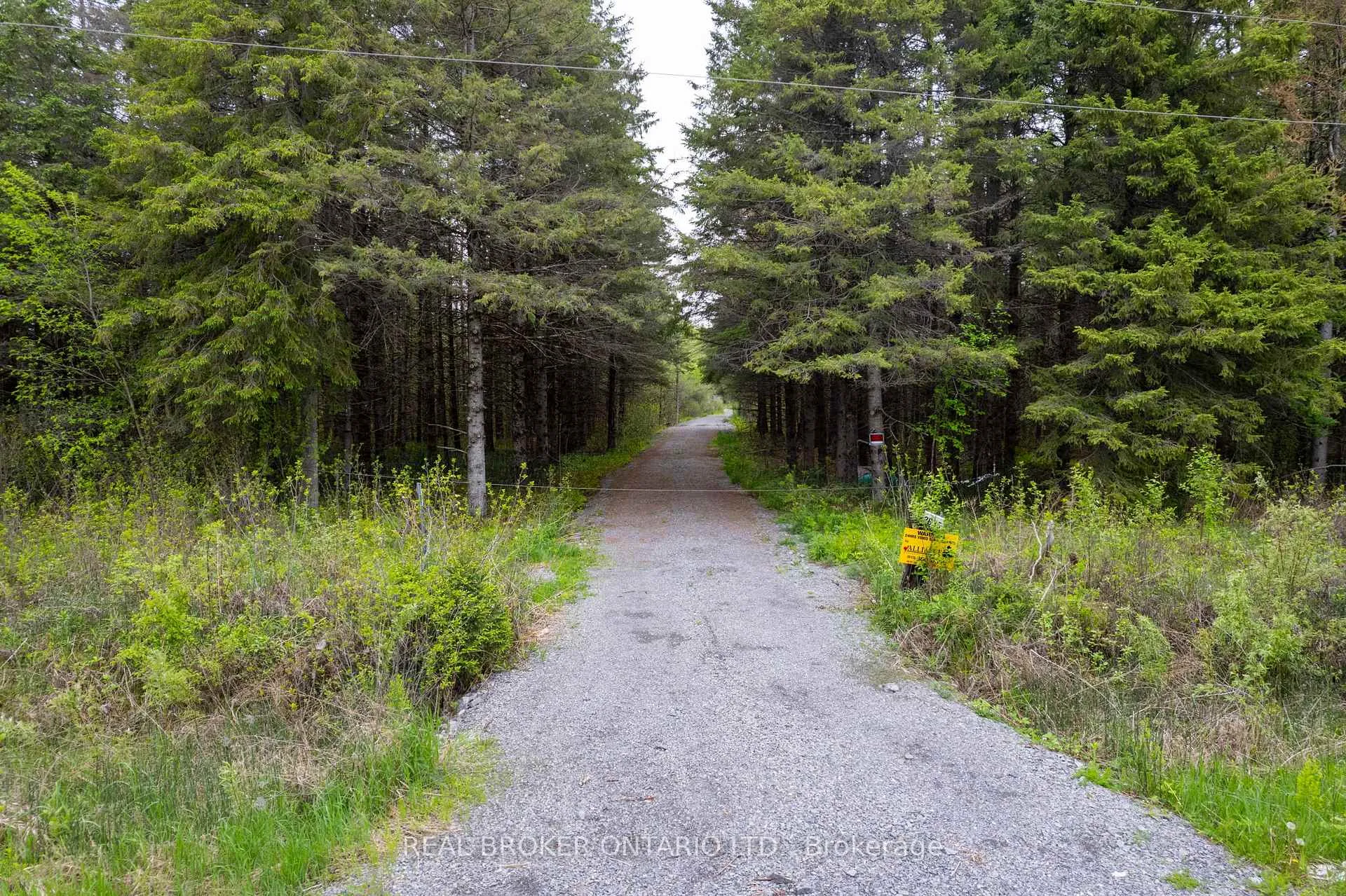 Photo 8 of 2635 Mcmullen Road, Ottawa, Rideau Twp S of Reg Rd 6 W of Mccordick Rd. — HOMEH