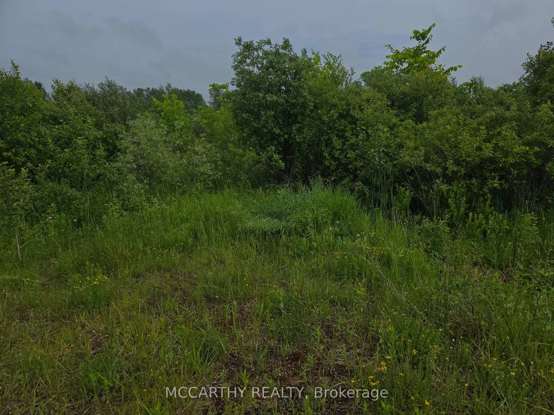 Photo 7 of 201 Con 2 SWTSR, Southgate — HOMEH
