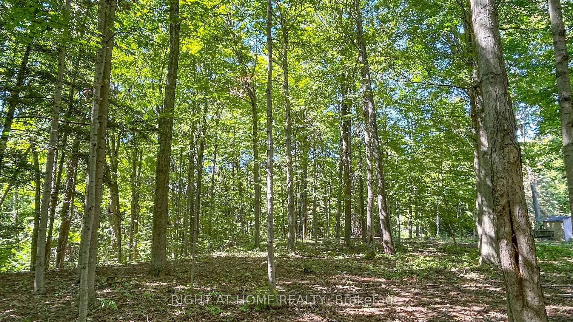Photo 23 of 27 Timberlane Court, Clarington, Rural Clarington — HOMEH