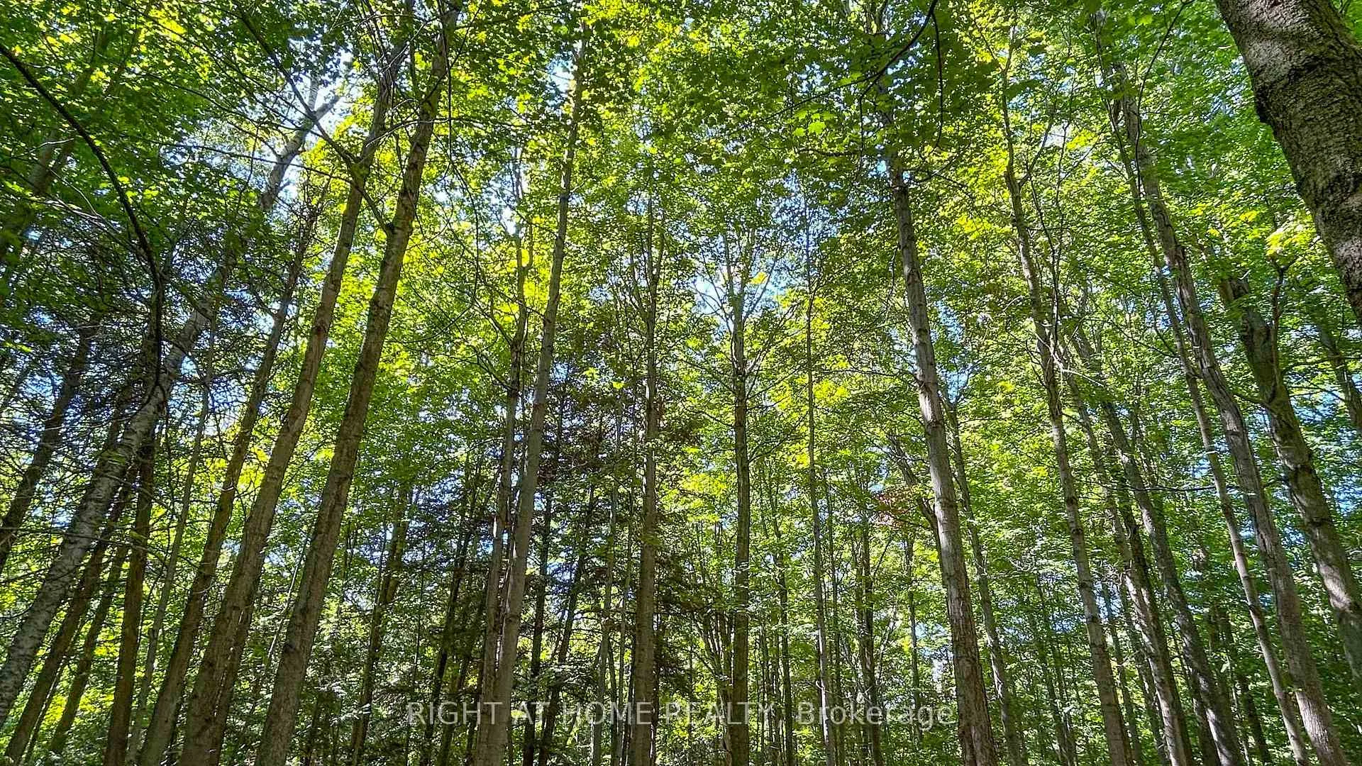 Photo 24 of 27 Timberlane Court, Clarington, Rural Clarington — HOMEH
