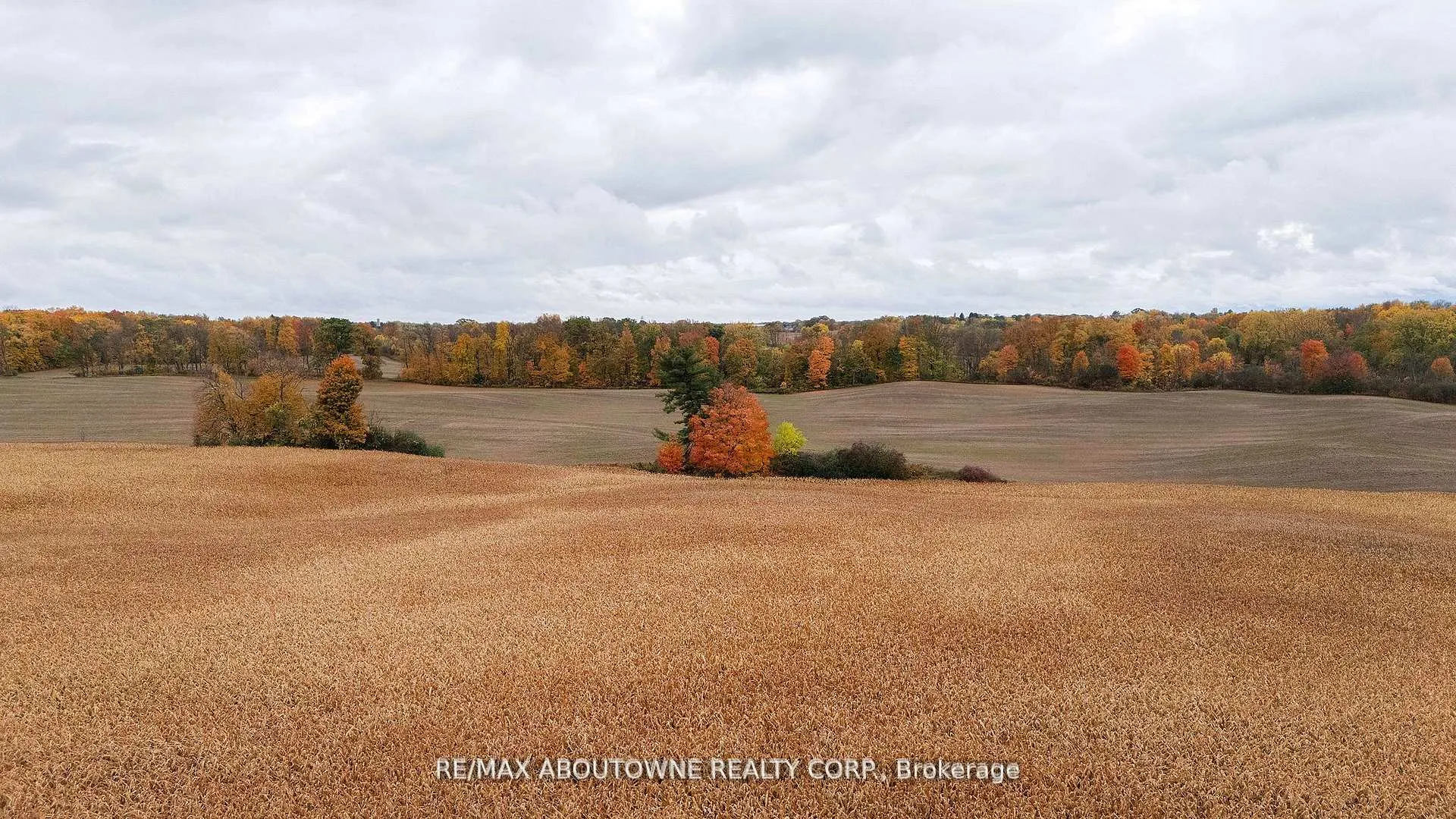 Photo 38 of 57 Monteith Drive, Brantford — HOMEH