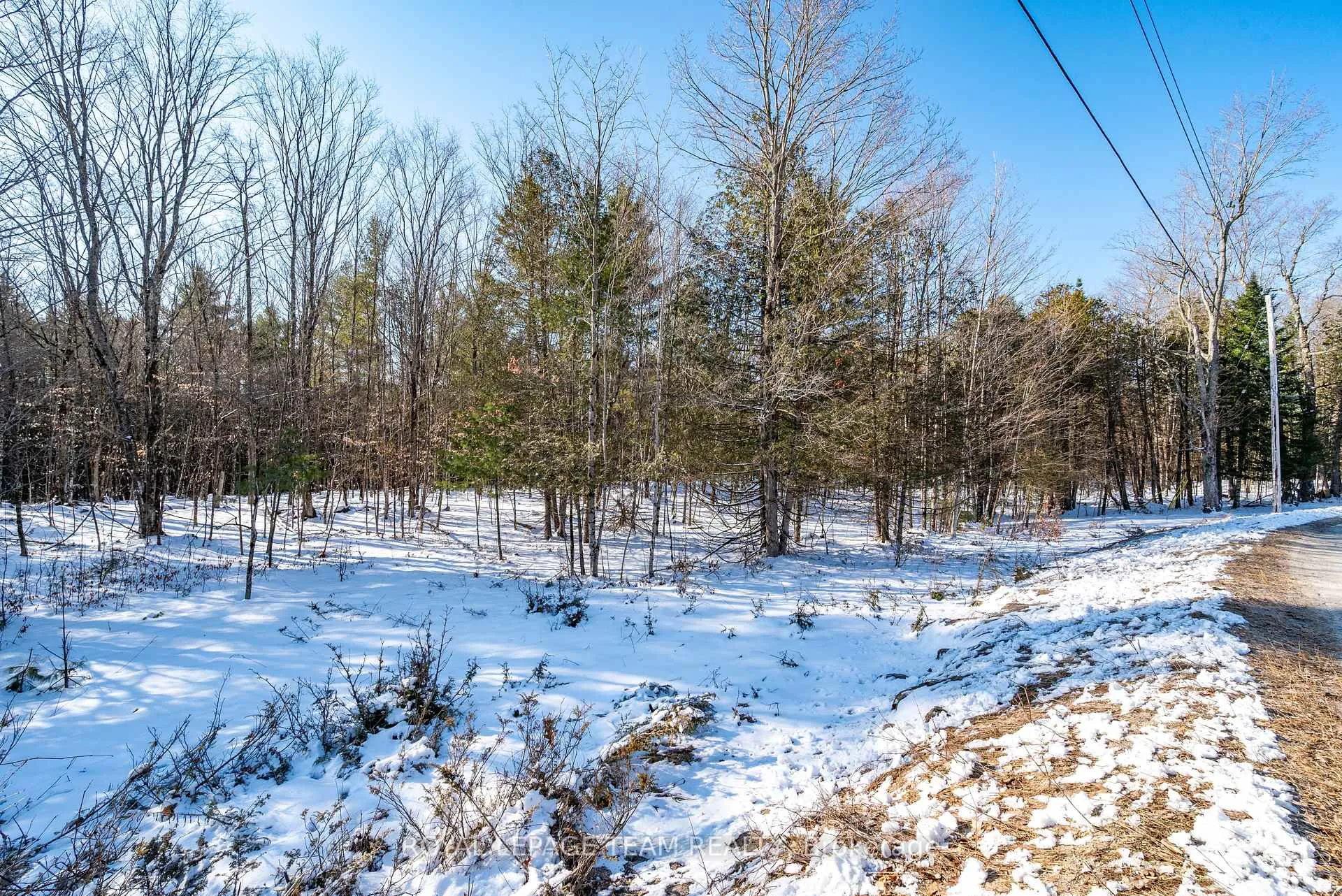 Photo 4 of 00 Maple Street, Lanark Highlands, Lanark Highlands (Dalhousie) Twp — HOMEH