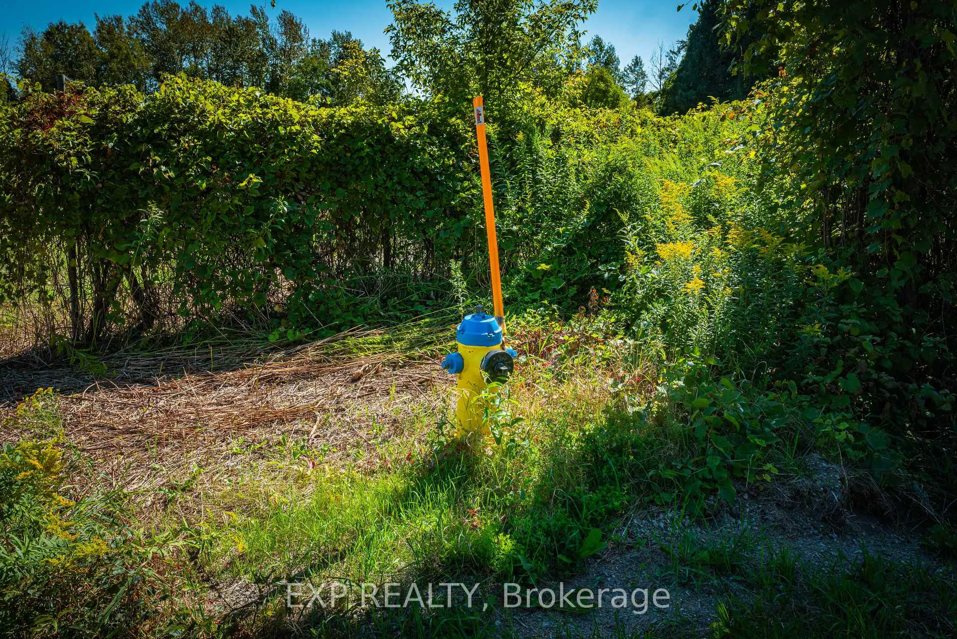 Photo 4 of 26839 Civic Centre Road, Georgina, Historic Lakeshore Communities — HOMEH