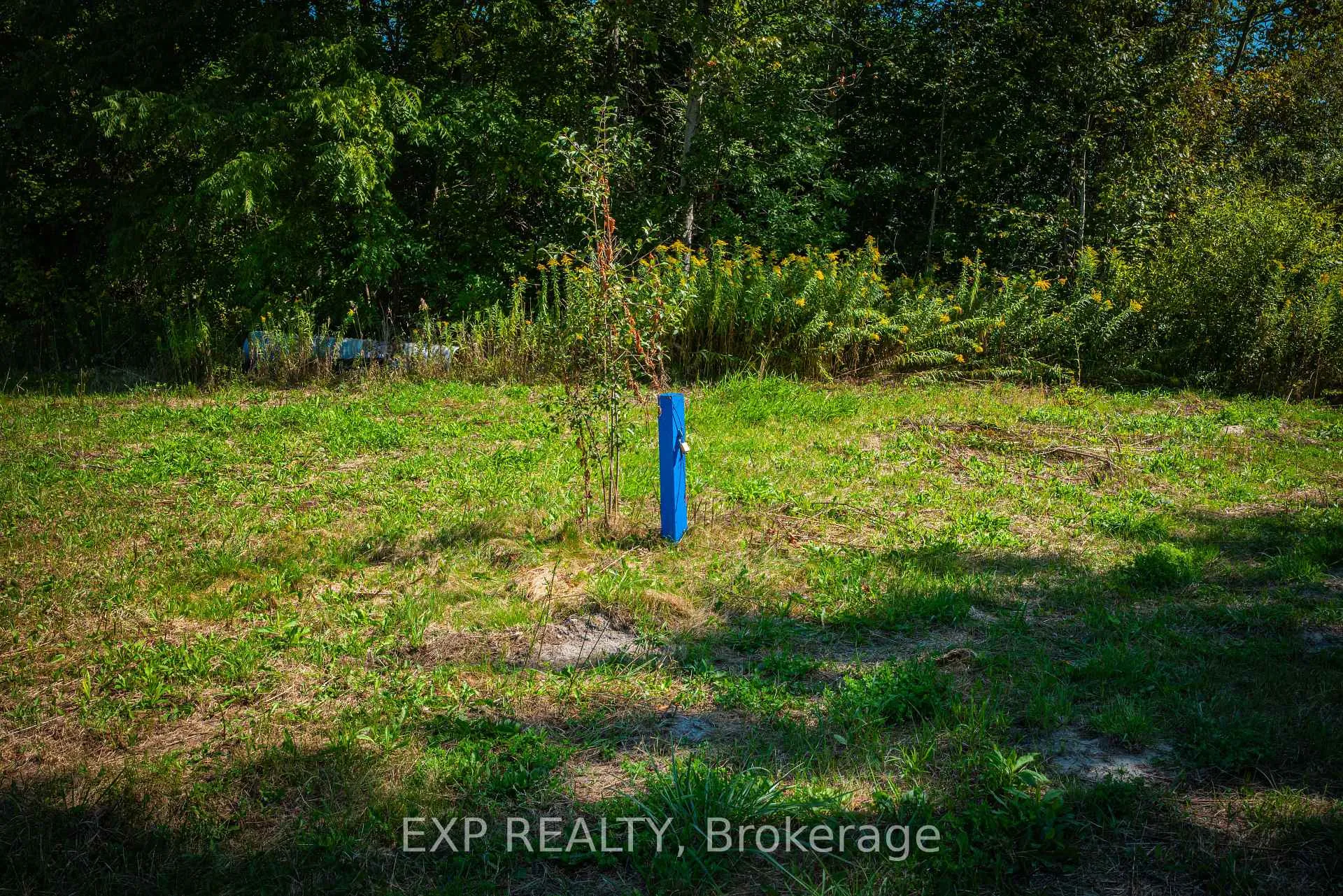 Photo 17 of 26839 Civic Centre Road, Georgina, Historic Lakeshore Communities — HOMEH