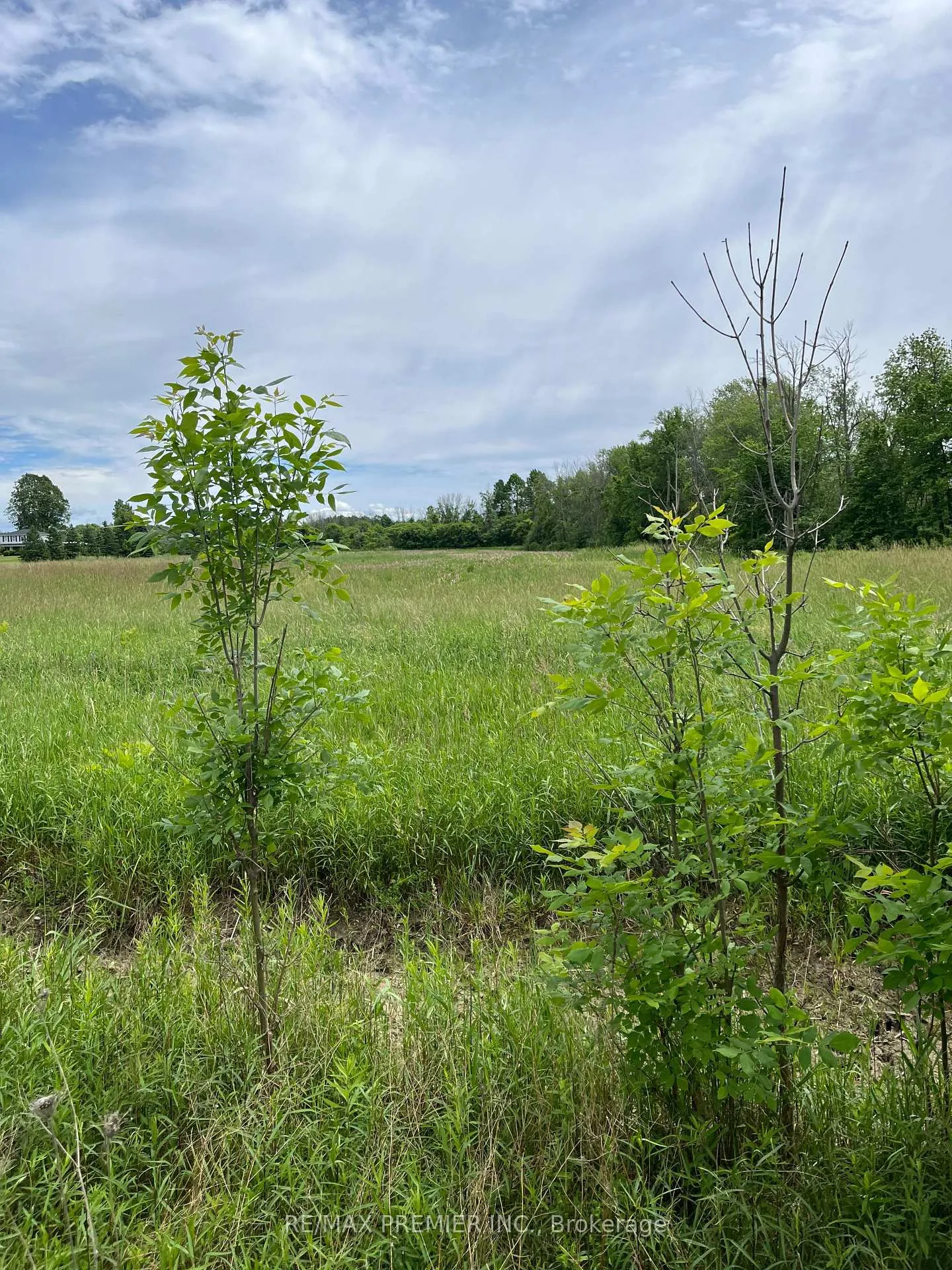 Photo 3 of Highway 48, Georgina, Pefferlaw — HOMEH