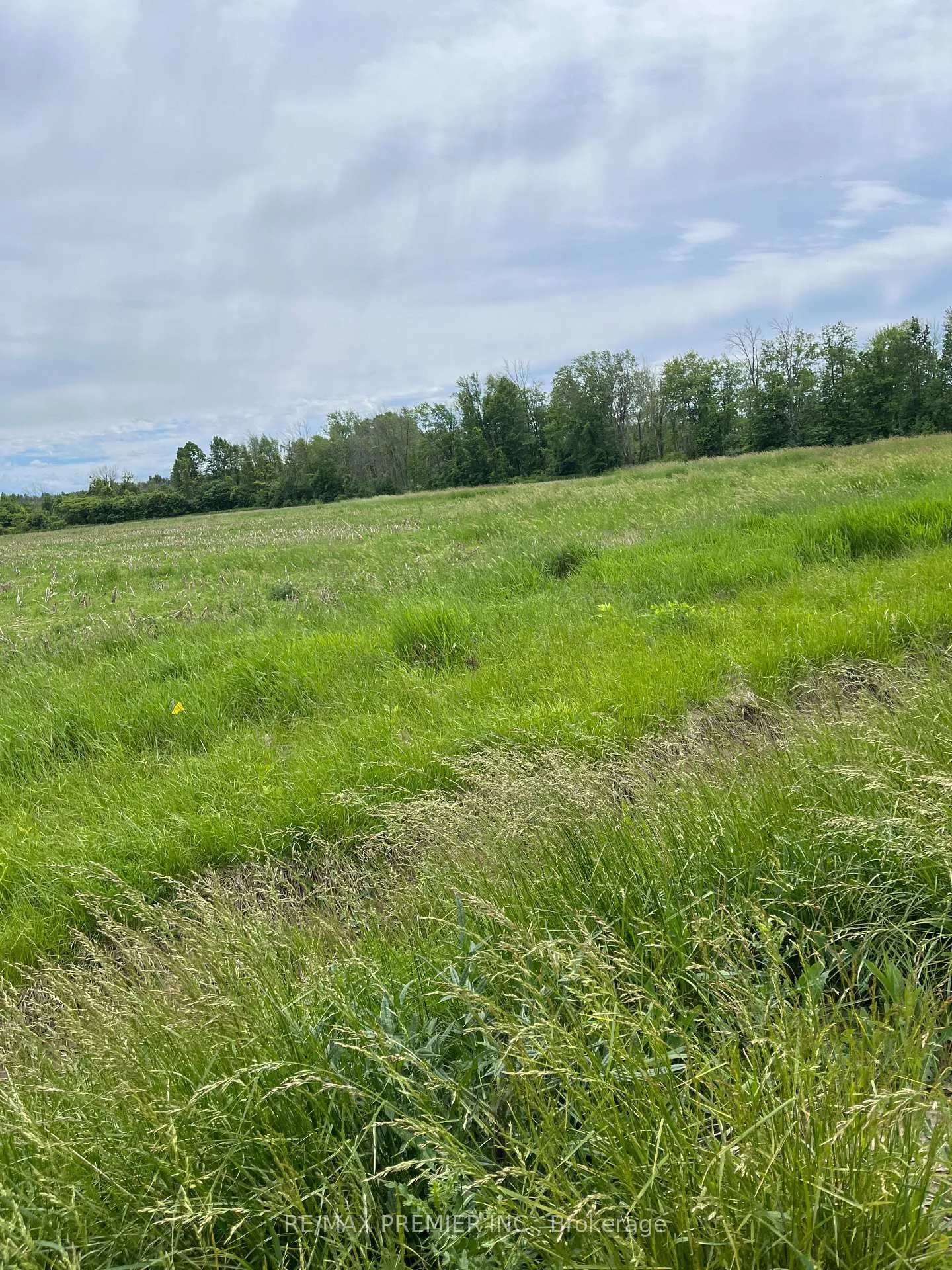 Photo 4 of Highway 48, Georgina, Pefferlaw — HOMEH
