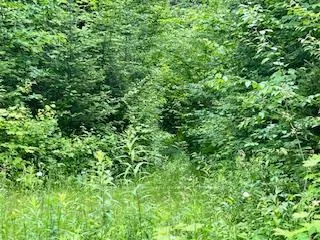 Photo 3 of LOT 5 Georges Road, Bonfield — HOMEH
