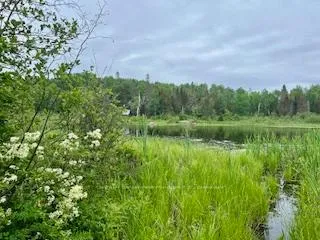 Photo 7 of LOT 5 Georges Road, Bonfield — HOMEH