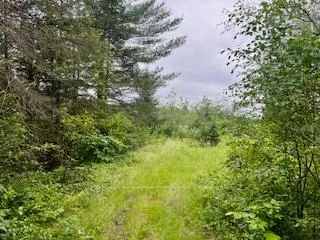 Photo 9 of LOT 5 Georges Road, Bonfield — HOMEH