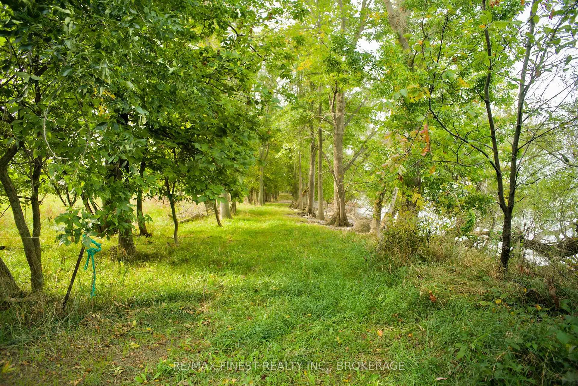 Photo 6 of 15355 Front Road, Loyalist, Lennox and Addington - South — HOMEH