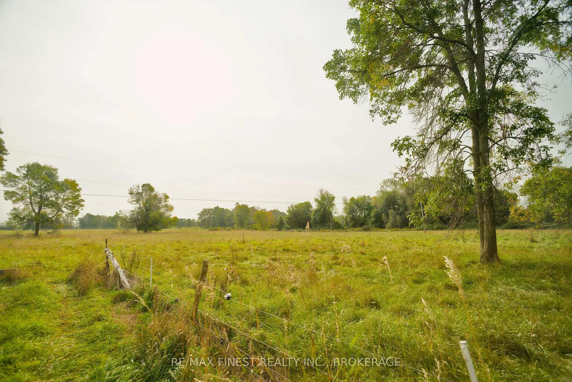 Photo 17 of 15355 Front Road, Loyalist, Lennox and Addington - South — HOMEH