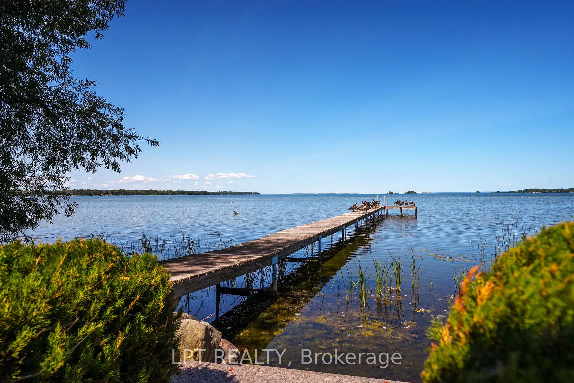 Photo 42 of 76 Mcrae Beach Road, Georgina, Virginia — HOMEH