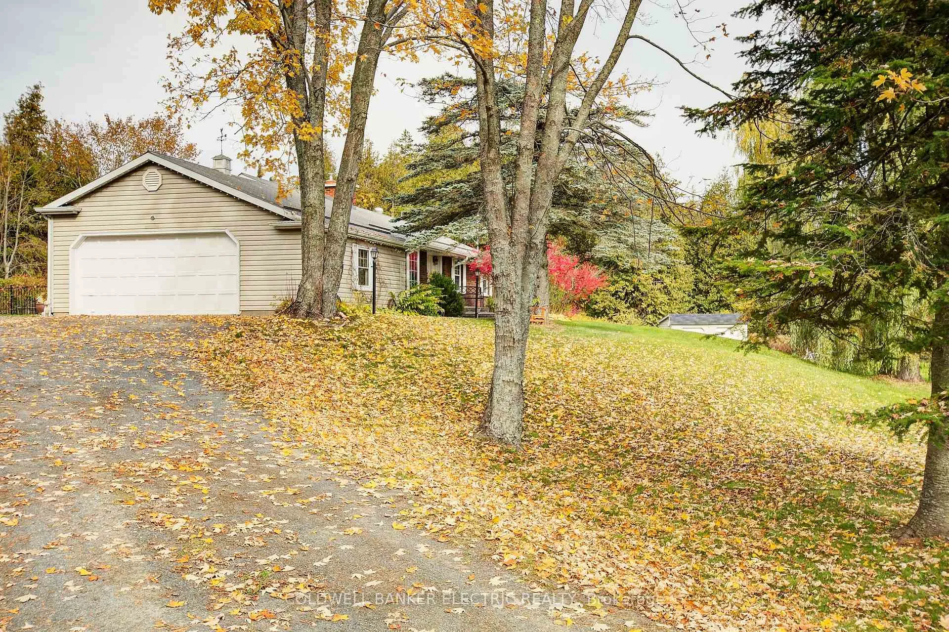 Photo 7 of 544 County 8 Road, Douro-Dummer — HOMEH