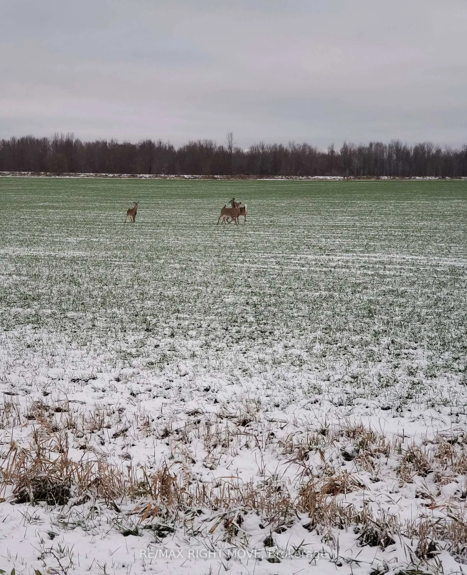Photo 9 of 2026 Uhthoff Line, Severn, Rural Severn — HOMEH