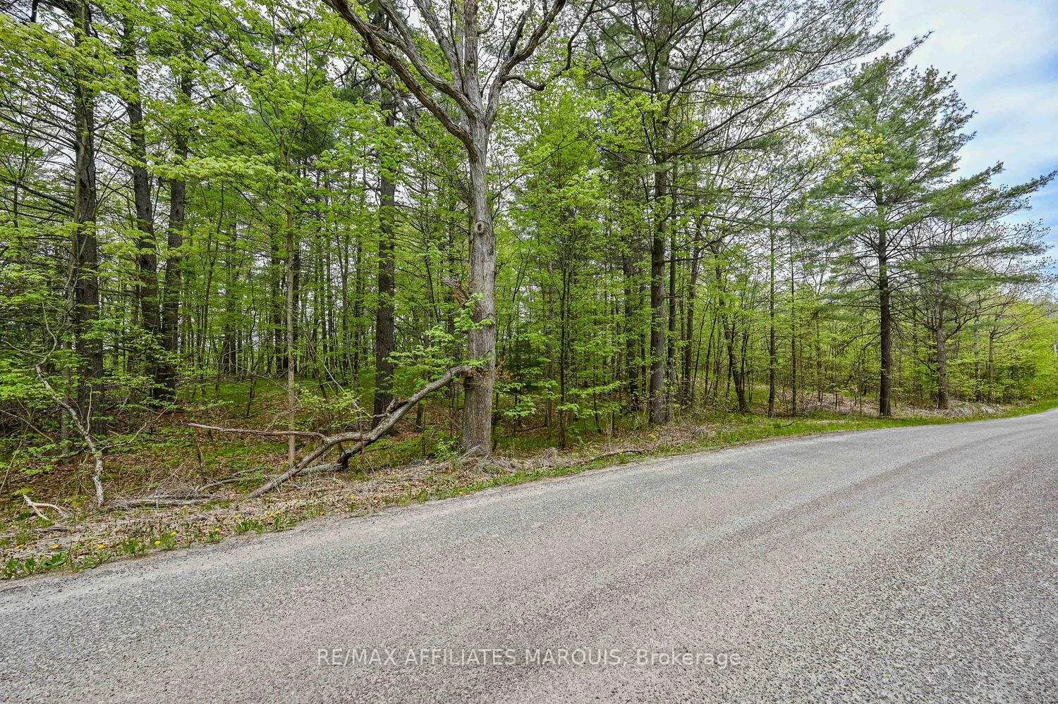 Photo 8 of 00 Clear Lake Road, Rideau Lakes, Rideau Lakes (South Crosby) Twp — HOMEH