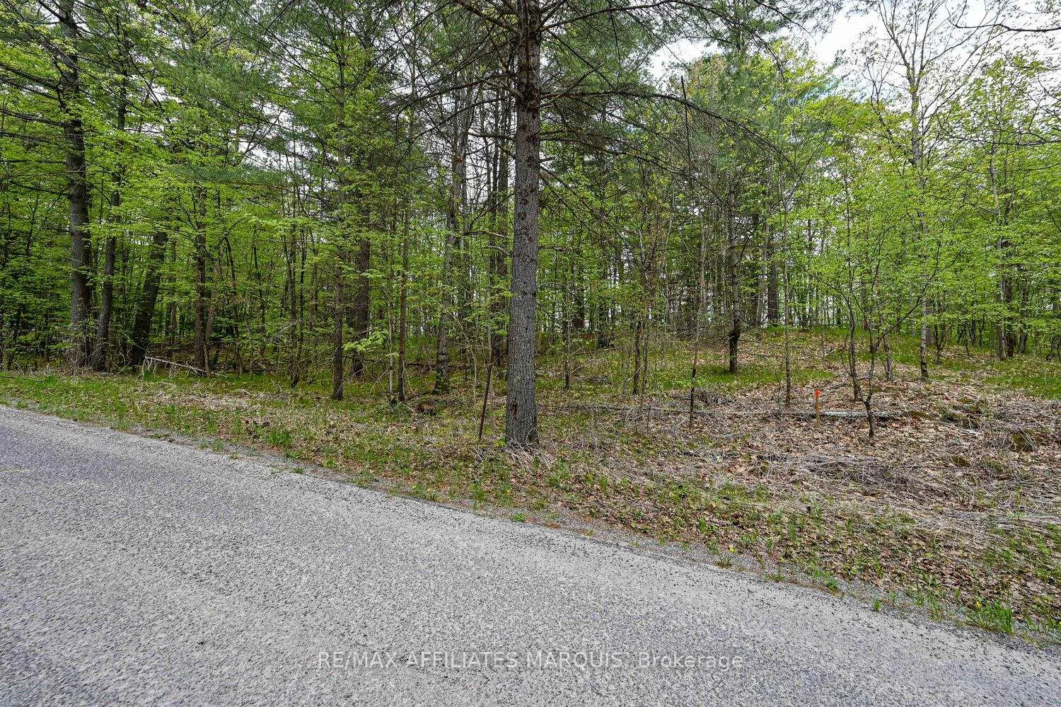 Photo 10 of 00 Clear Lake Road, Rideau Lakes, Rideau Lakes (South Crosby) Twp — HOMEH