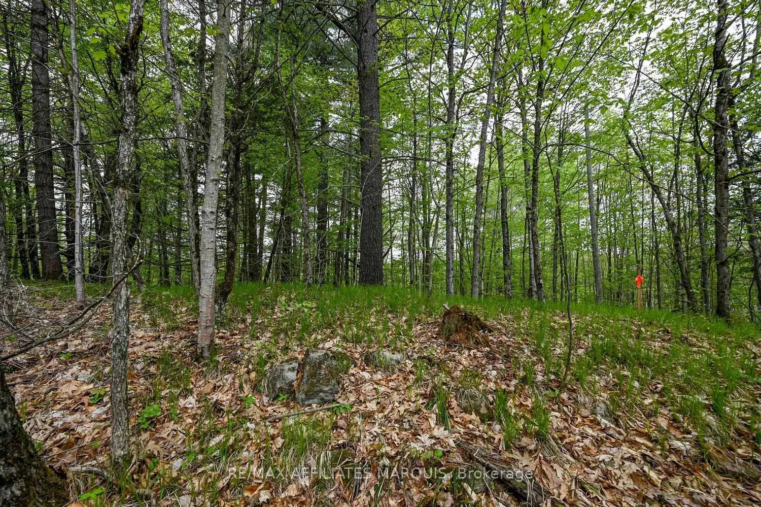 Photo 11 of 00 Clear Lake Road, Rideau Lakes, Rideau Lakes (South Crosby) Twp — HOMEH