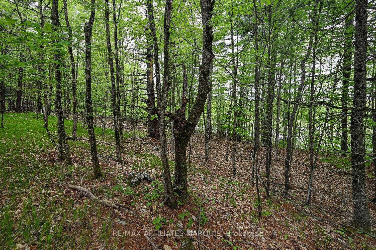 Photo 12 of 00 Clear Lake Road, Rideau Lakes, Rideau Lakes (South Crosby) Twp — HOMEH