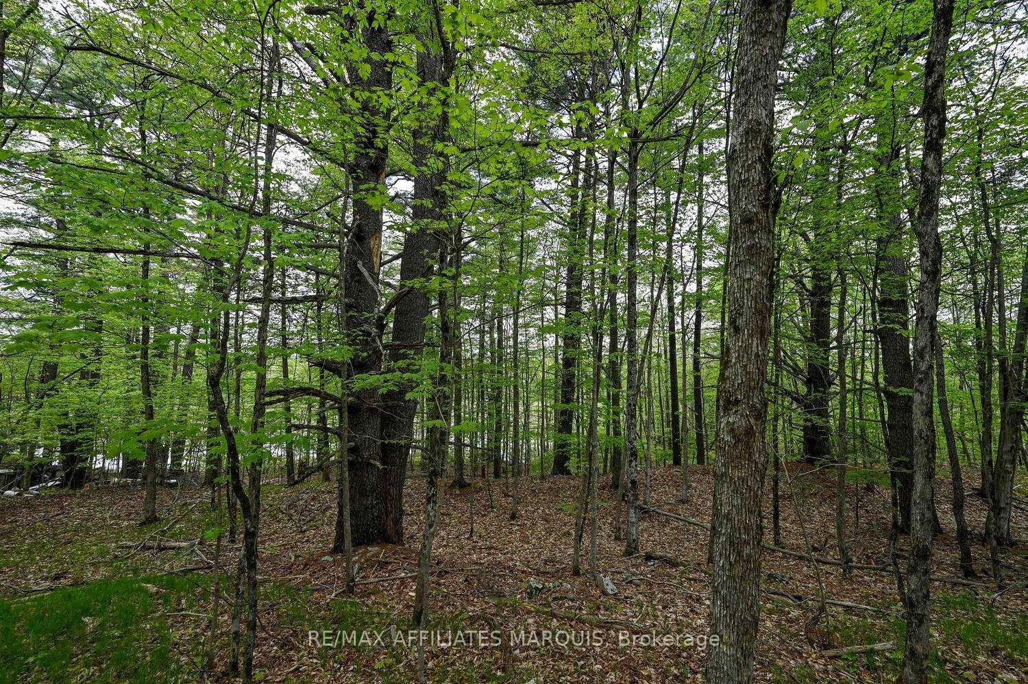 Photo 13 of 00 Clear Lake Road, Rideau Lakes, Rideau Lakes (South Crosby) Twp — HOMEH