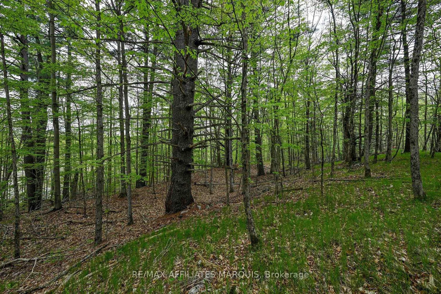 Photo 14 of 00 Clear Lake Road, Rideau Lakes, Rideau Lakes (South Crosby) Twp — HOMEH