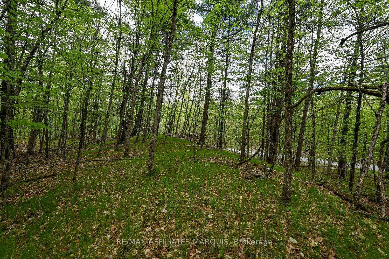 Photo 15 of 00 Clear Lake Road, Rideau Lakes, Rideau Lakes (South Crosby) Twp — HOMEH