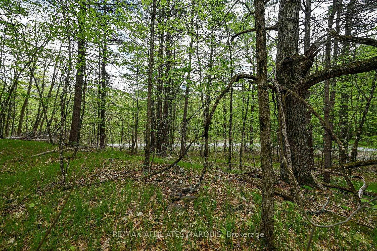 Photo 16 of 00 Clear Lake Road, Rideau Lakes, Rideau Lakes (South Crosby) Twp — HOMEH
