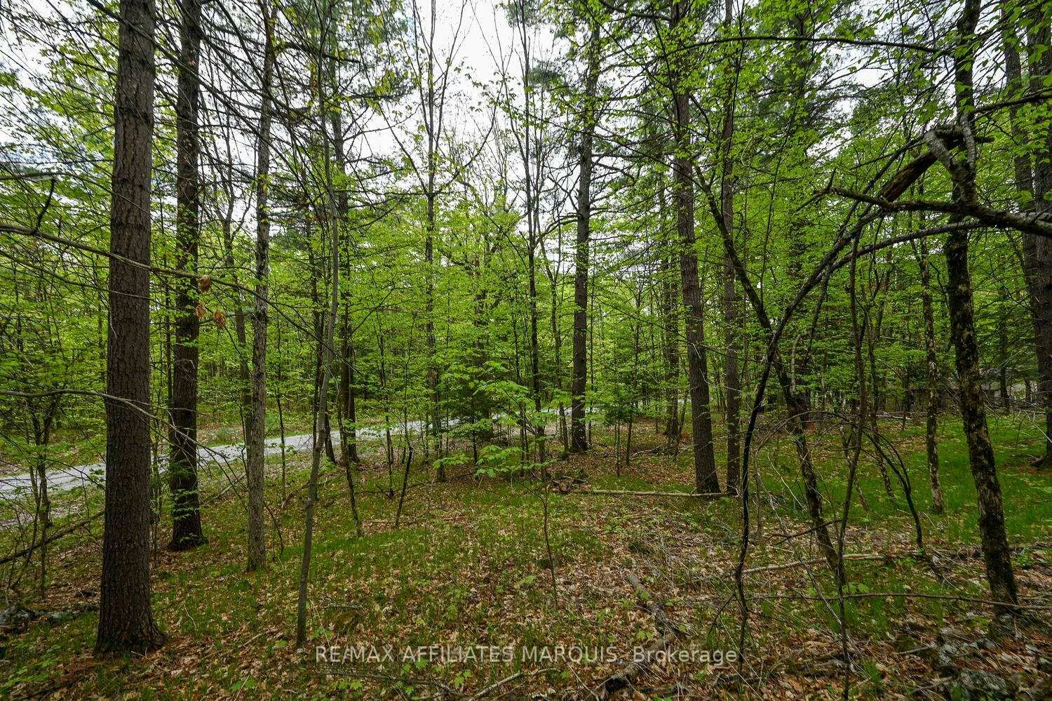Photo 17 of 00 Clear Lake Road, Rideau Lakes, Rideau Lakes (South Crosby) Twp — HOMEH