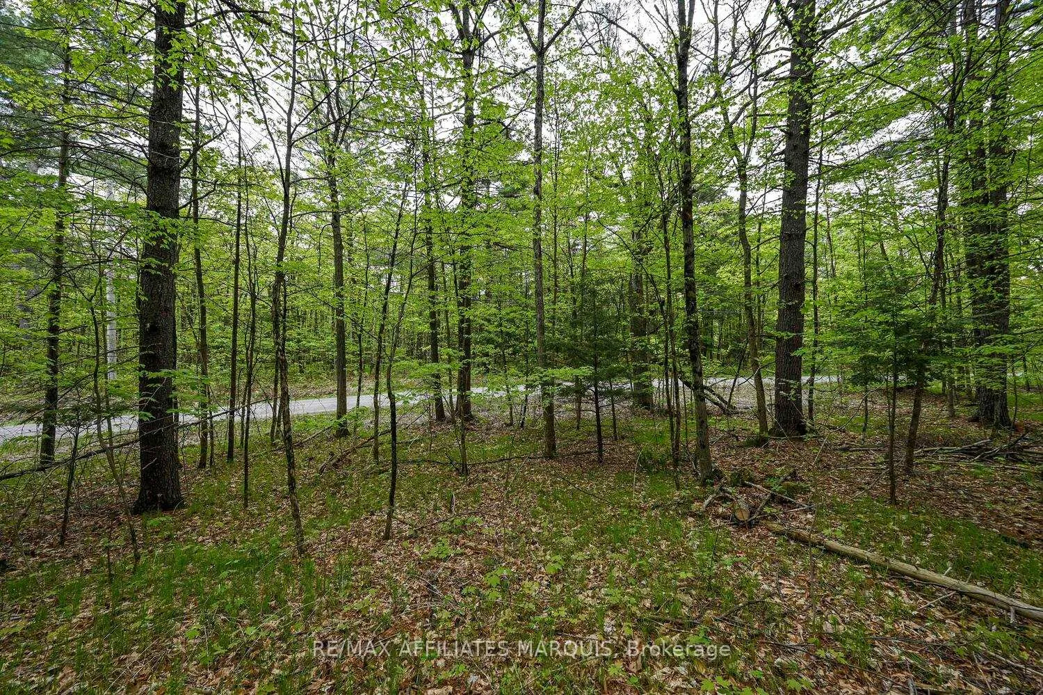 Photo 18 of 00 Clear Lake Road, Rideau Lakes, Rideau Lakes (South Crosby) Twp — HOMEH