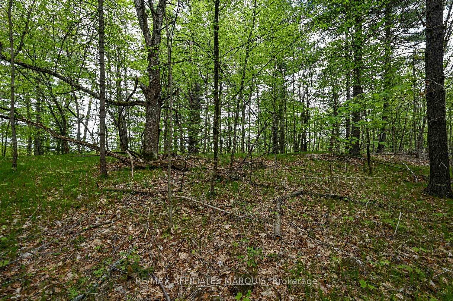 Photo 19 of 00 Clear Lake Road, Rideau Lakes, Rideau Lakes (South Crosby) Twp — HOMEH