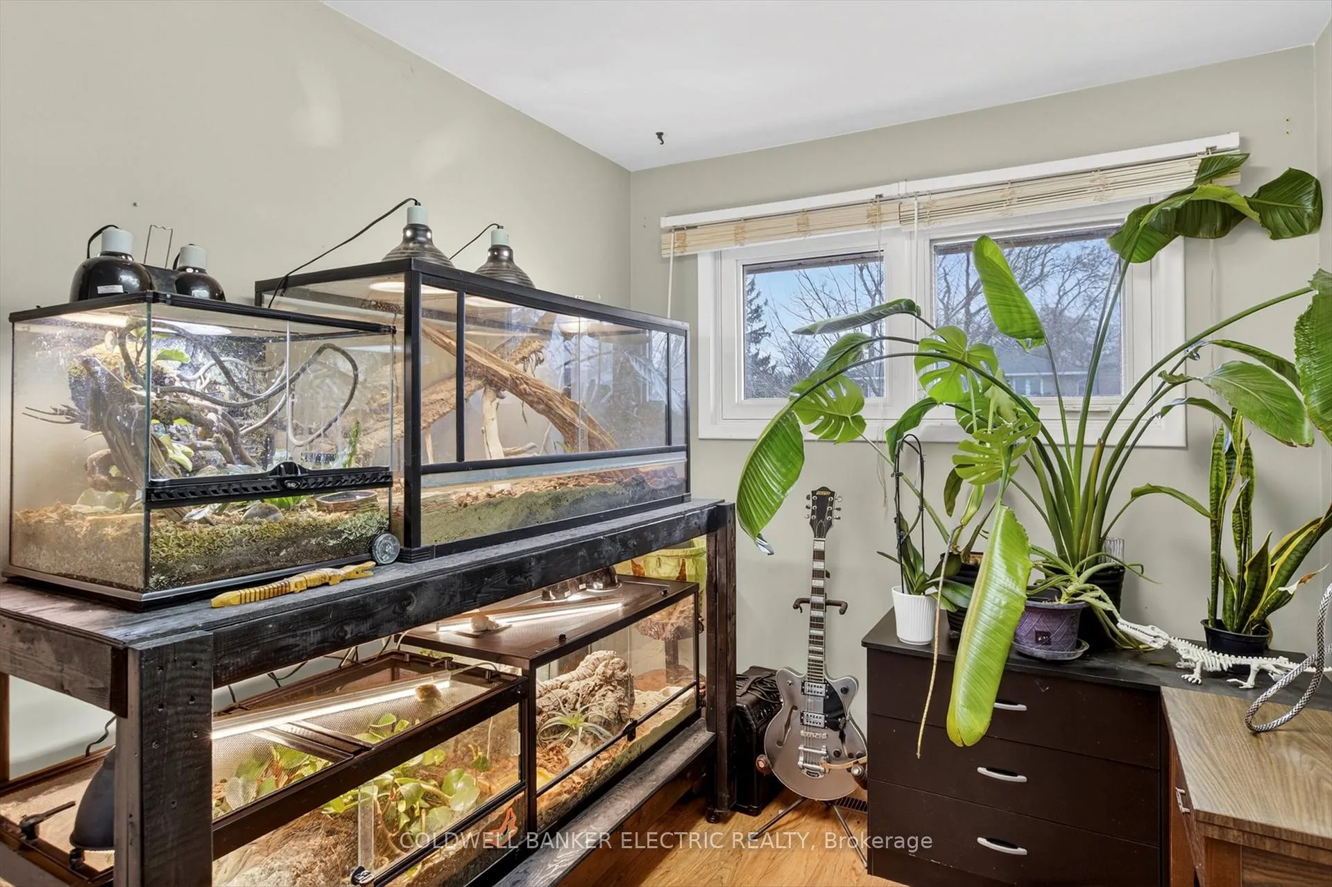 Photo 24 of 250 Collison Crescent, Peterborough, Ashburnham Ward 4 — HOMEH