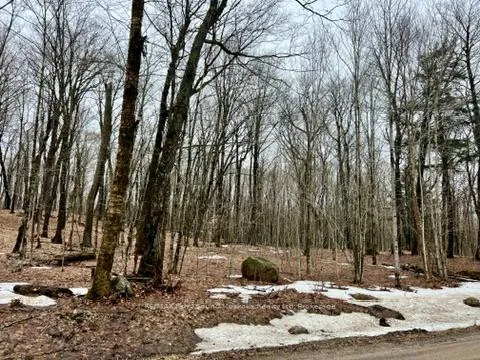 Photo 1 of 15th/16th Side Road, Magnetawan — HOMEH