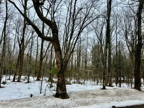 Photo 3 of 15th/16th Side Road, Magnetawan — HOMEH