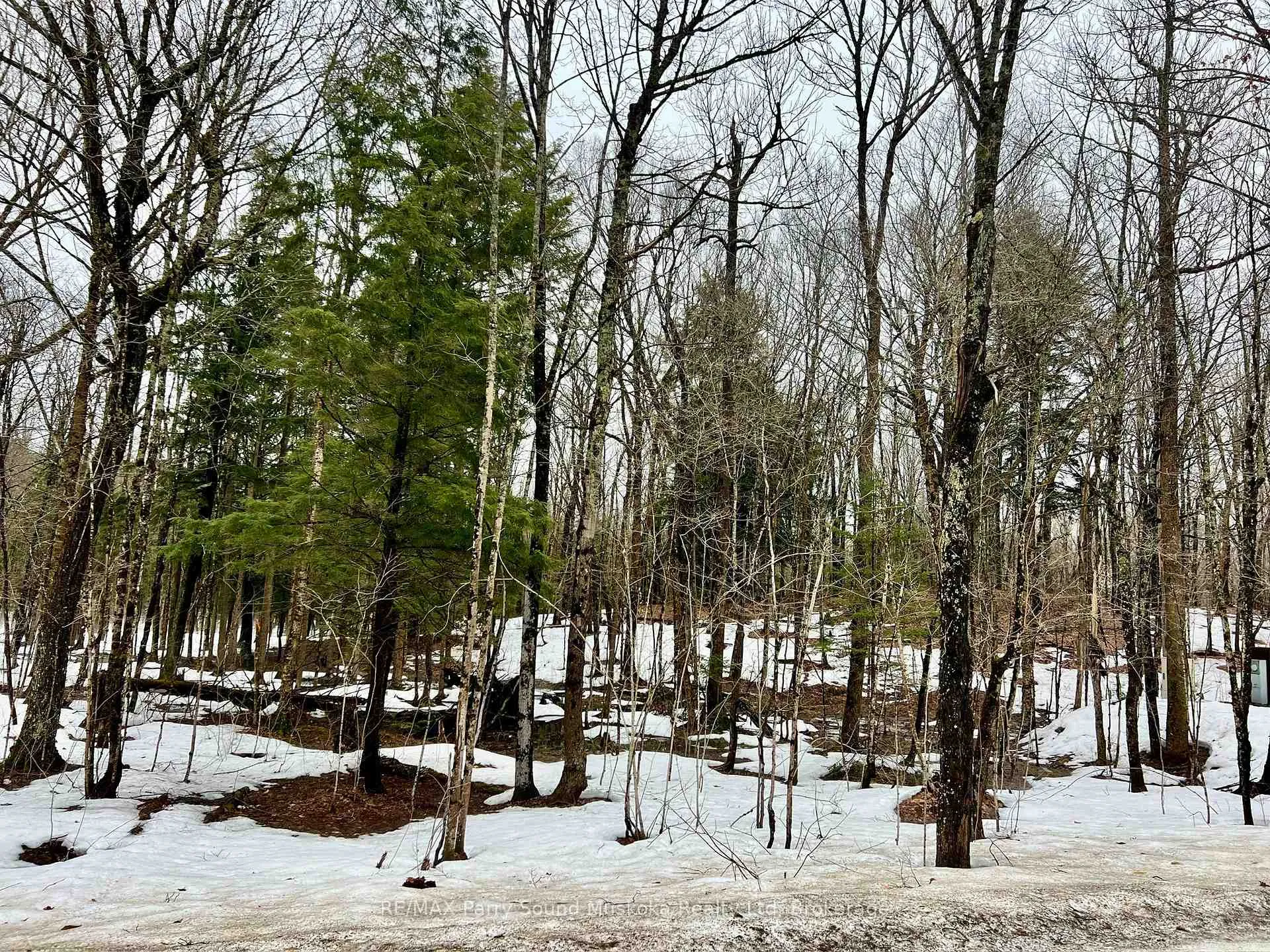 Photo 4 of 15th/16th Side Road, Magnetawan — HOMEH