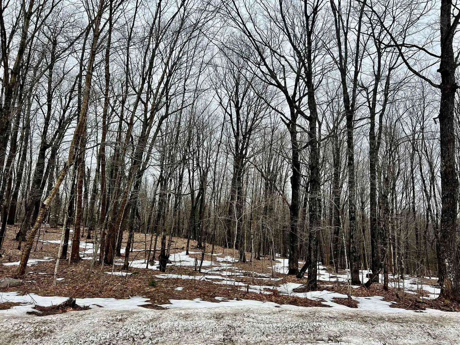 Photo 6 of 15th/16th Side Road, Magnetawan — HOMEH