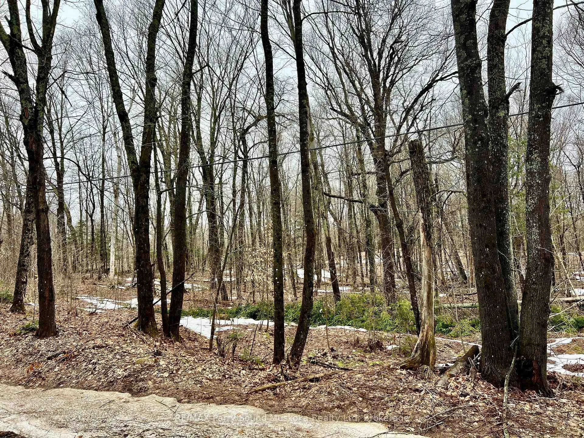 Photo 7 of 15th/16th Side Road, Magnetawan — HOMEH