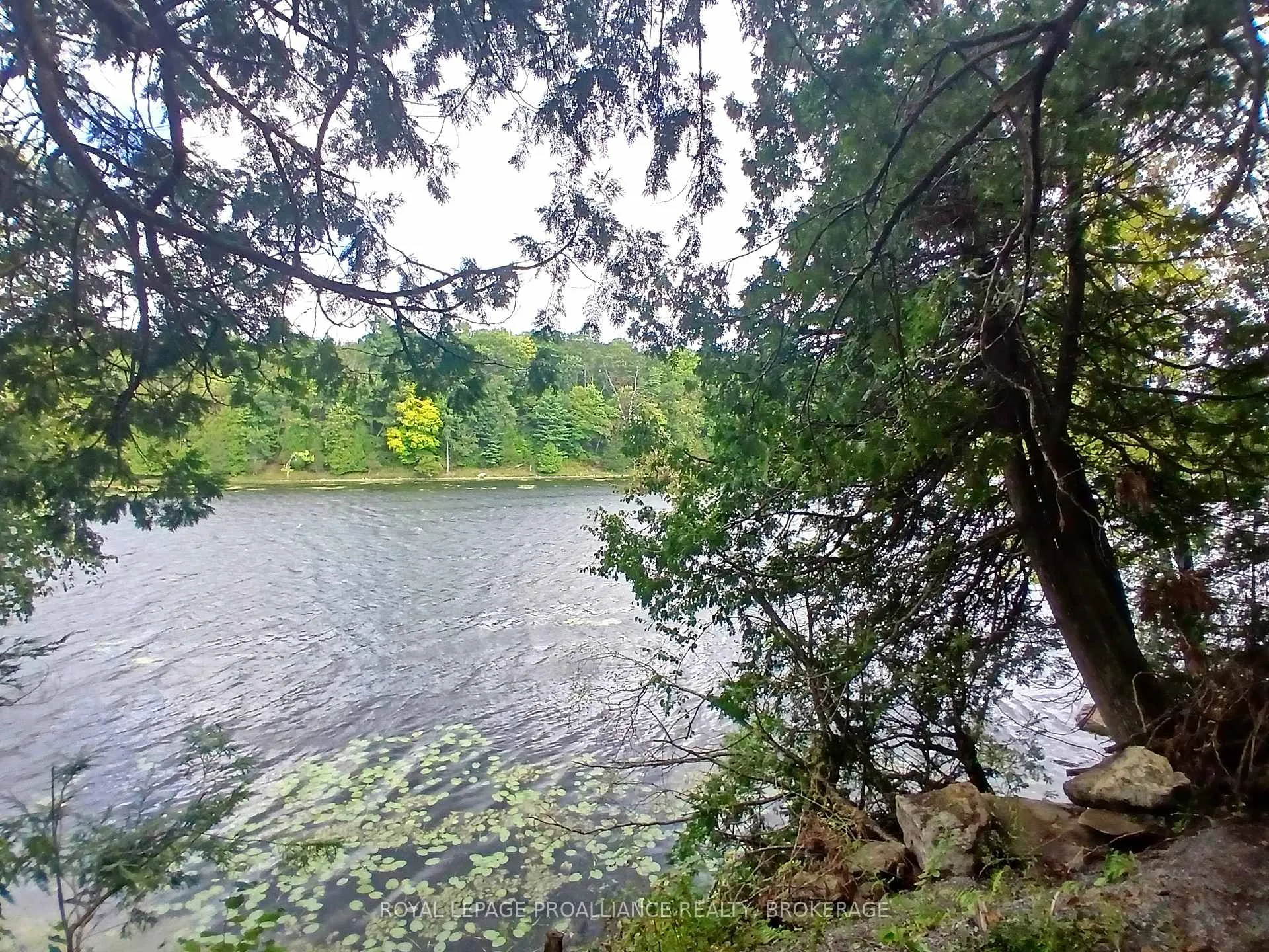 Photo of 1030 Lodge Lane