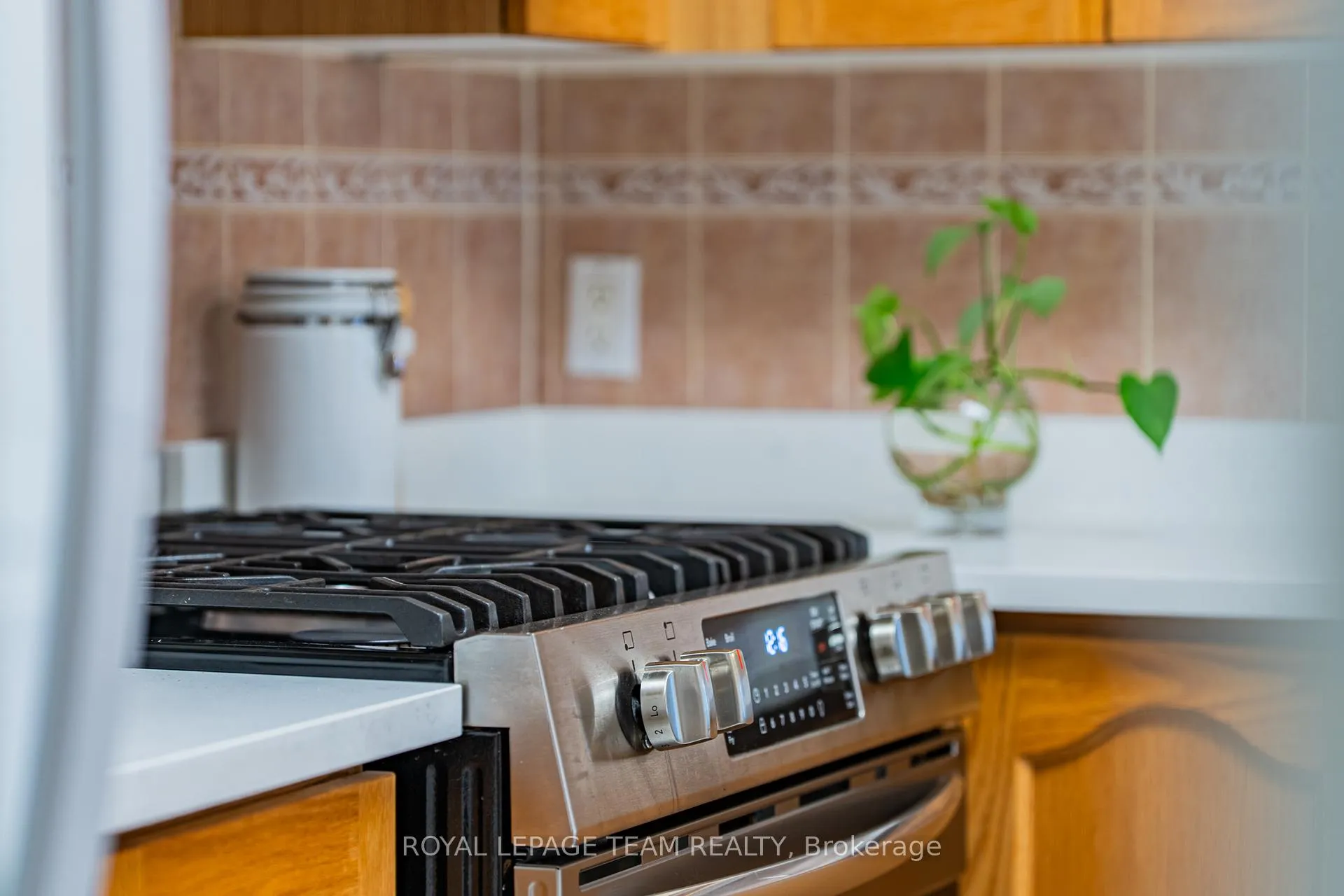 Photo 43 of 66 Gray Crescent, Ottawa, Kanata - Beaverbrook — HOMEH