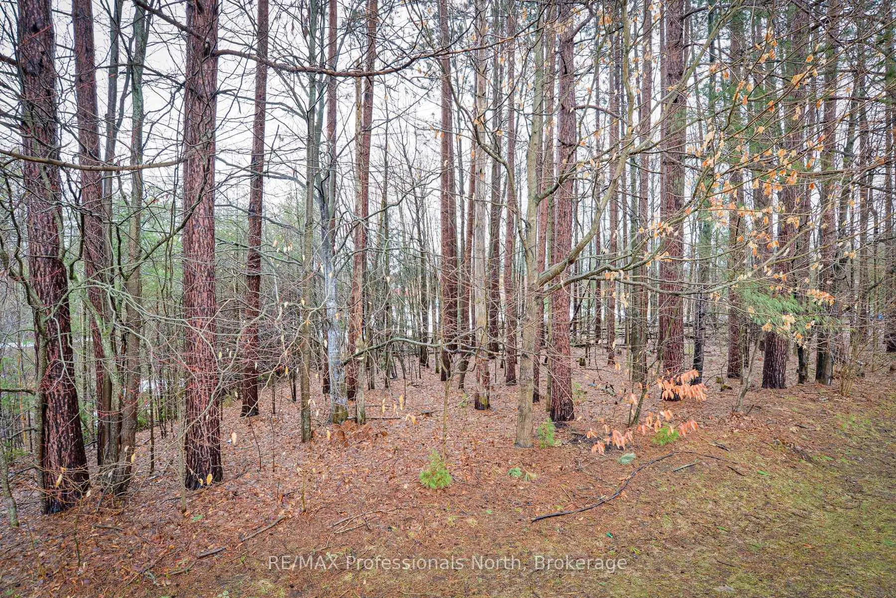 Photo 13 of Unit 12, 200 Pine Street, Bracebridge, Macaulay — HOMEH