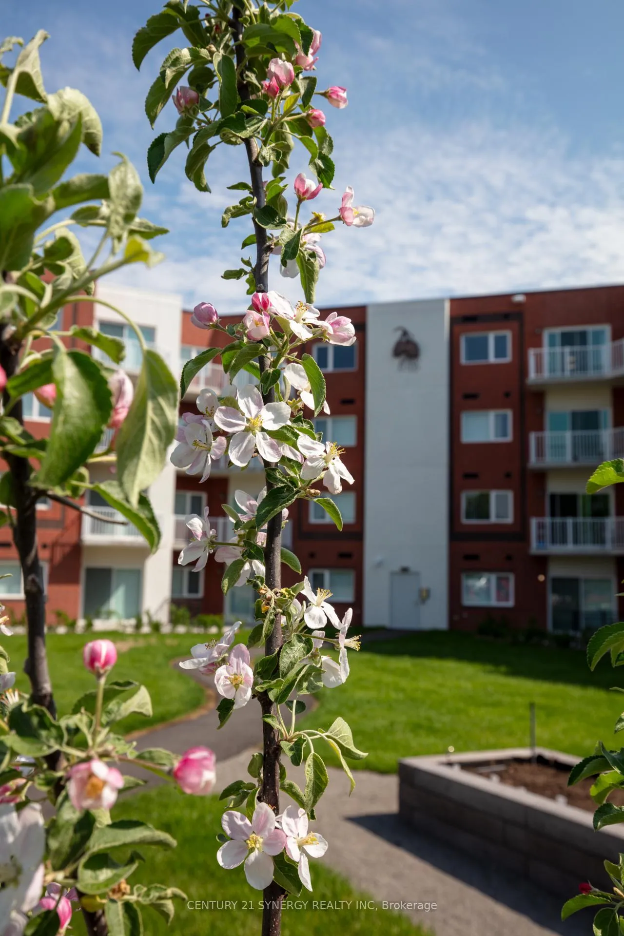 Photo 3 of Unit 225, 45 Elmsley Street, Smiths Falls — HOMEH