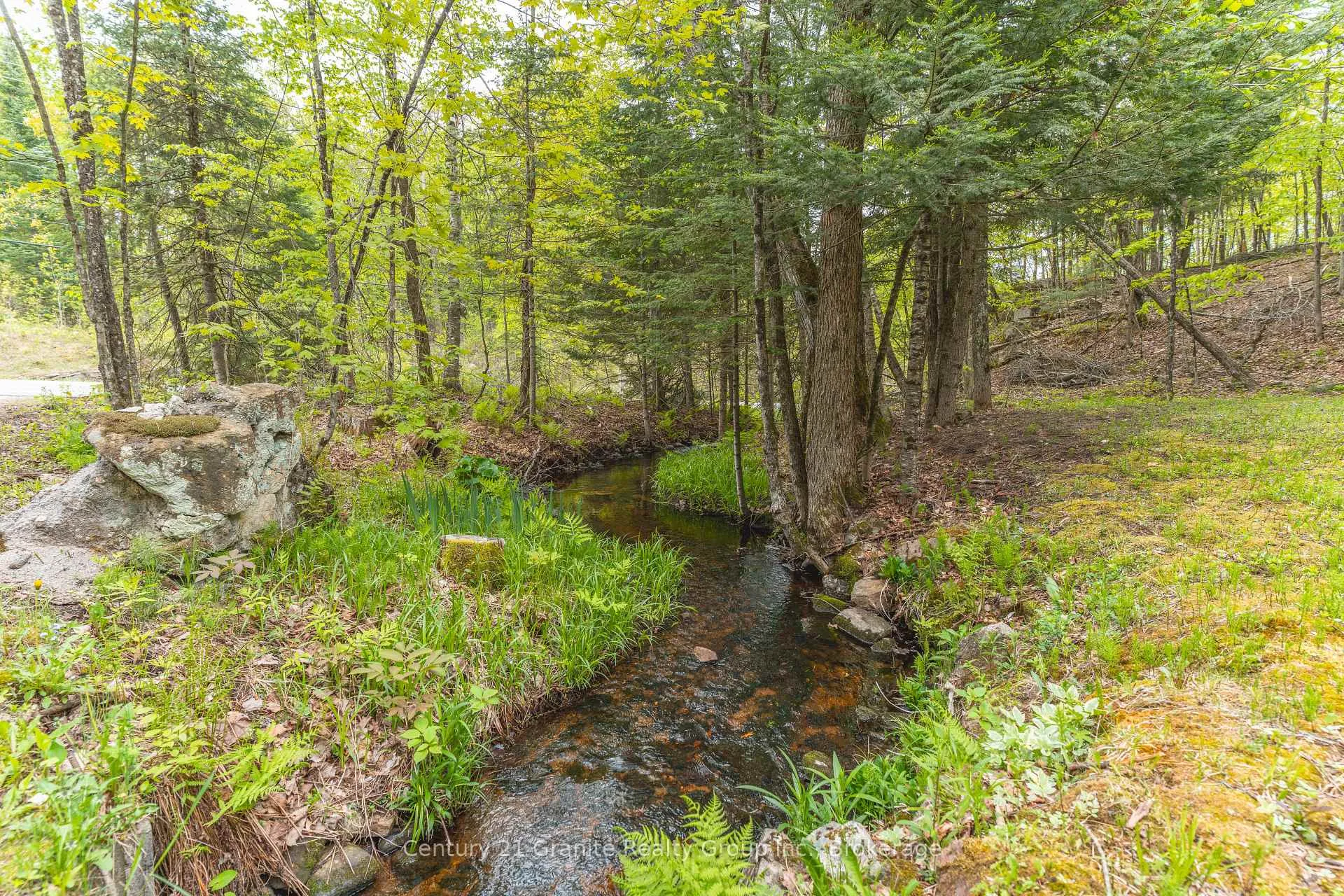 Photo 4 of 7032 County Road 121, Minden Hills, Lutterworth — HOMEH