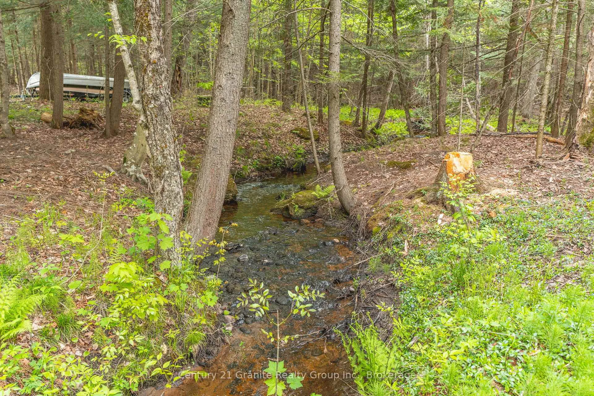 Photo 35 of 7032 County Road 121, Minden Hills, Lutterworth — HOMEH
