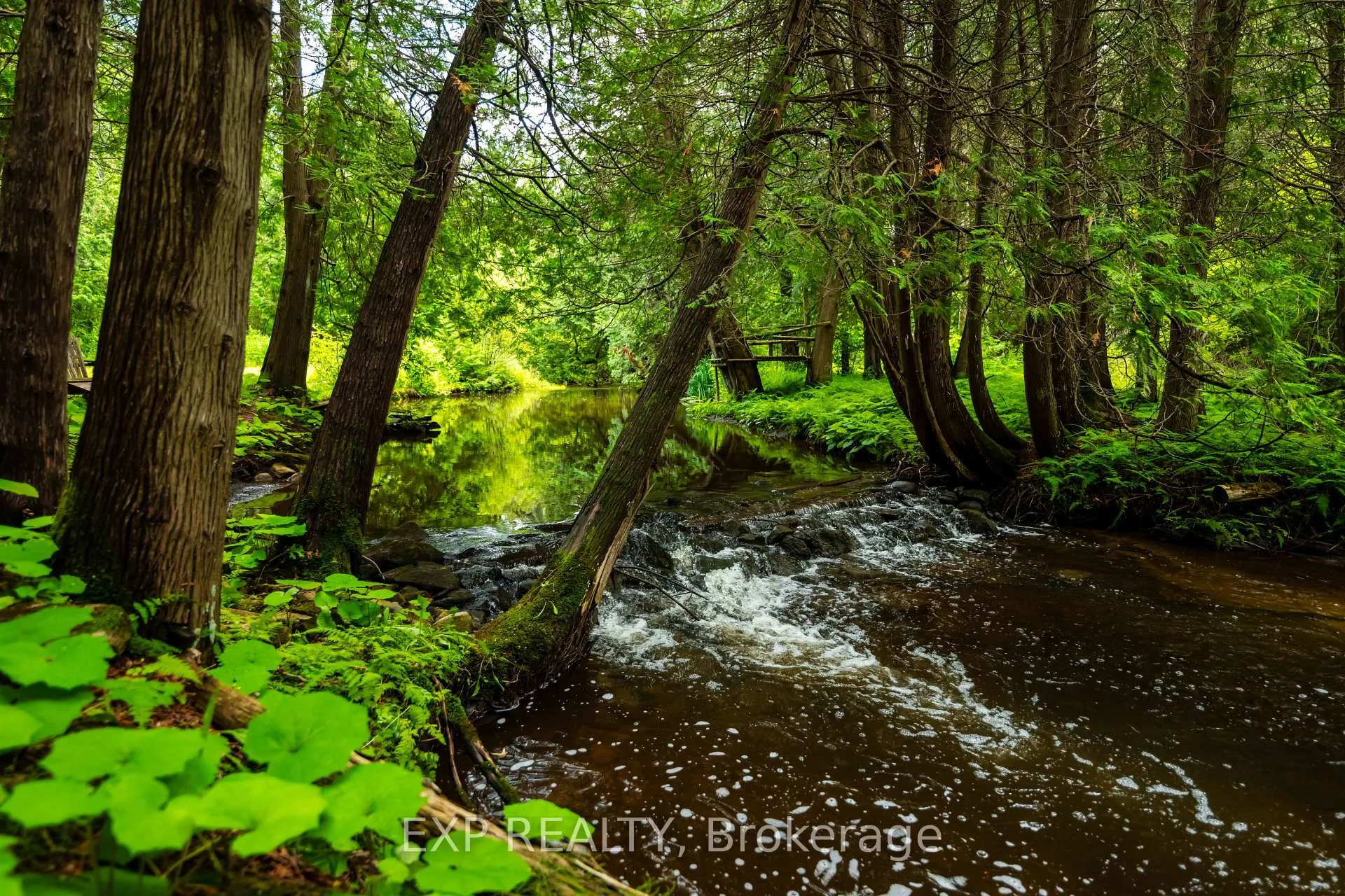 Photo 7 of 506097 Highway 89, Mulmur, Rural Mulmur — HOMEH