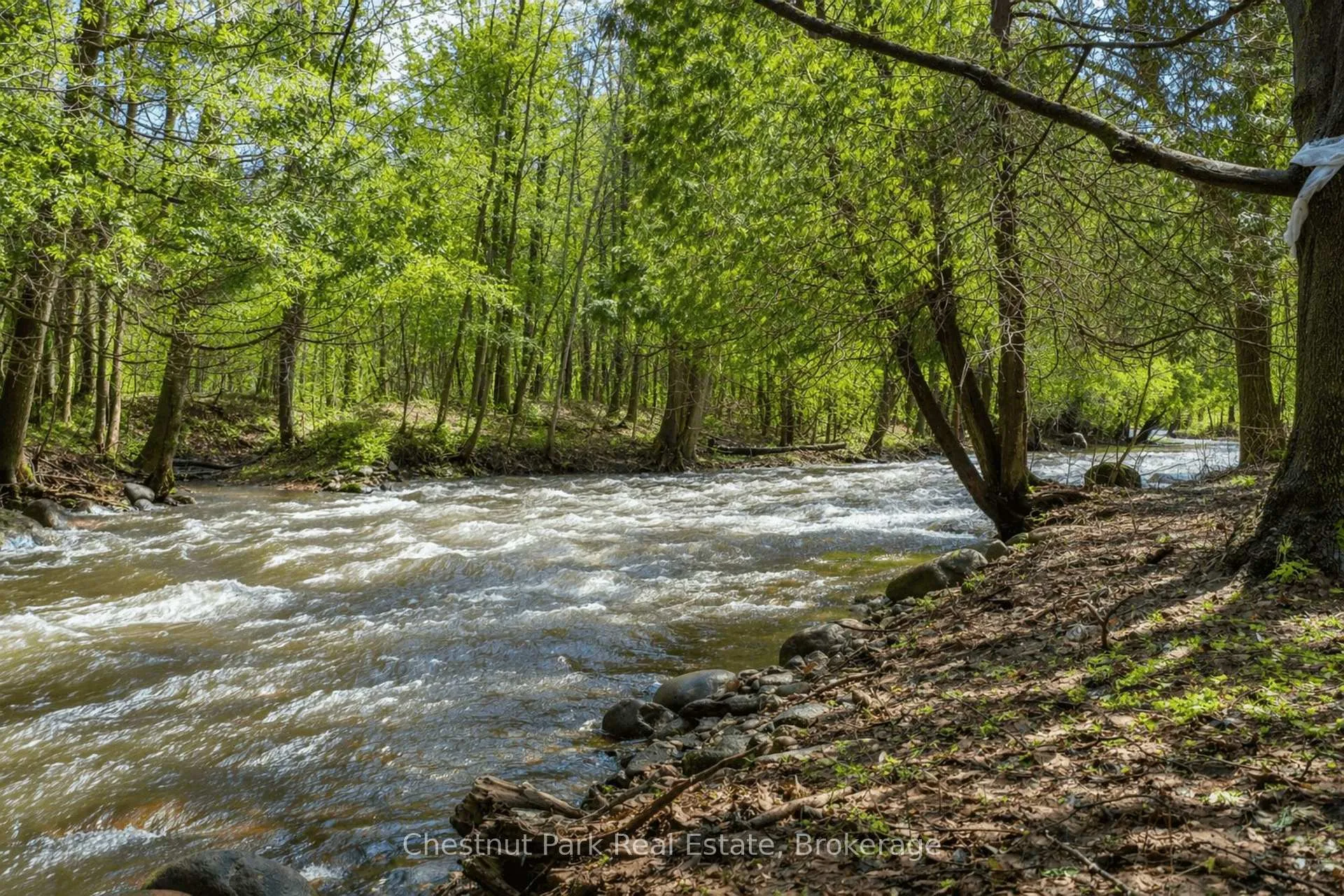 Photo 5 of 8943 County Road 9, Clearview, Rural Clearview — HOMEH