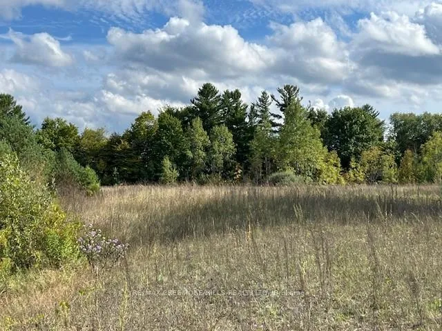 Photo 5 of 3/4 Side Road, Clearview, Rural Clearview — HOMEH
