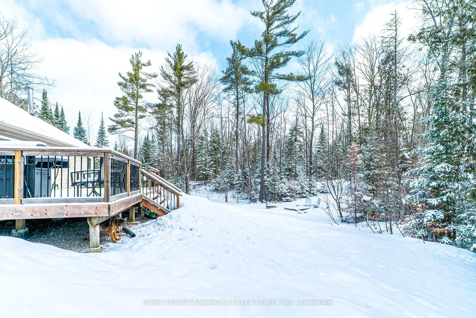 Photo 35 of 914 County Rd 49, Trent Lakes — HOMEH