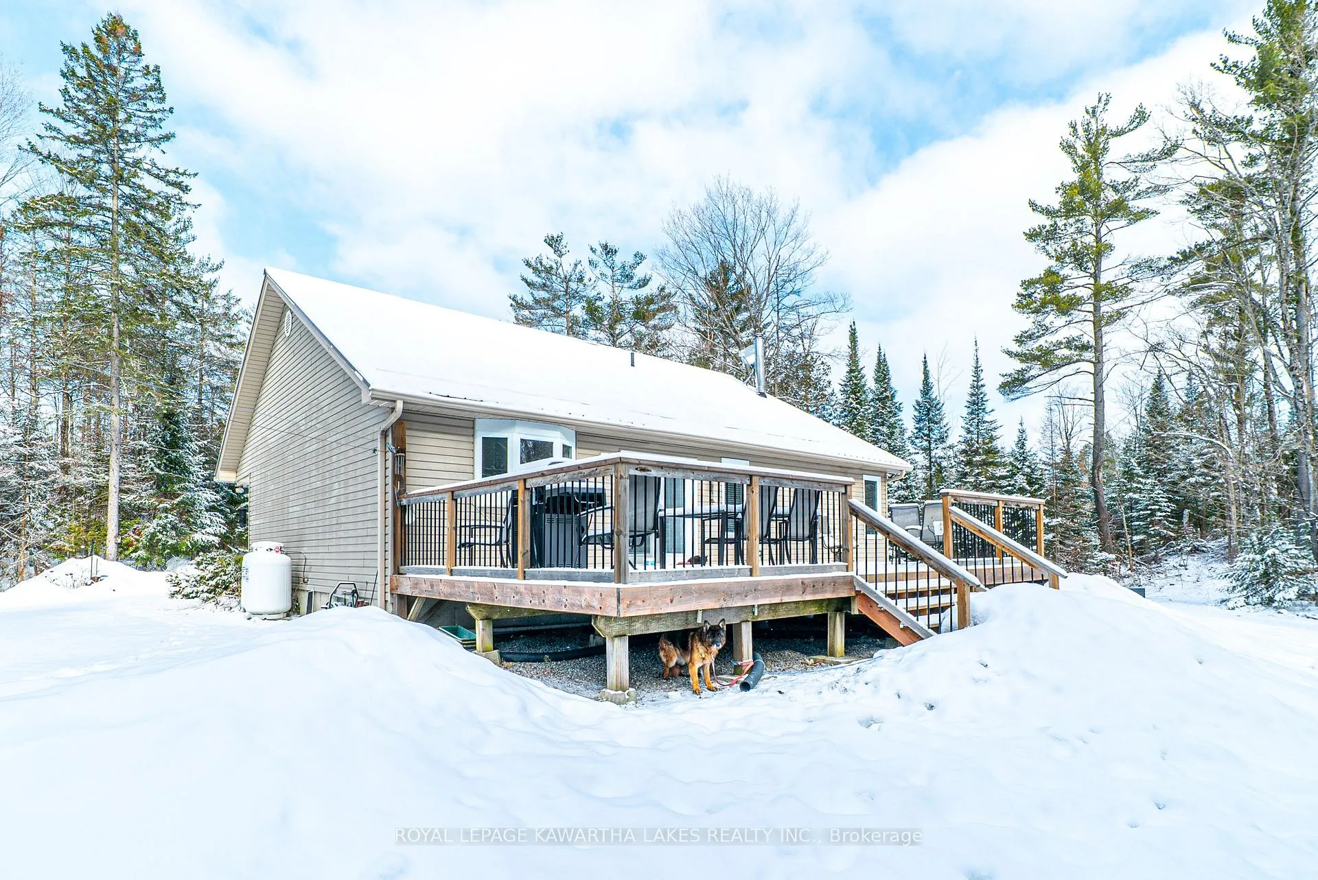 Photo 36 of 914 County Rd 49, Trent Lakes — HOMEH
