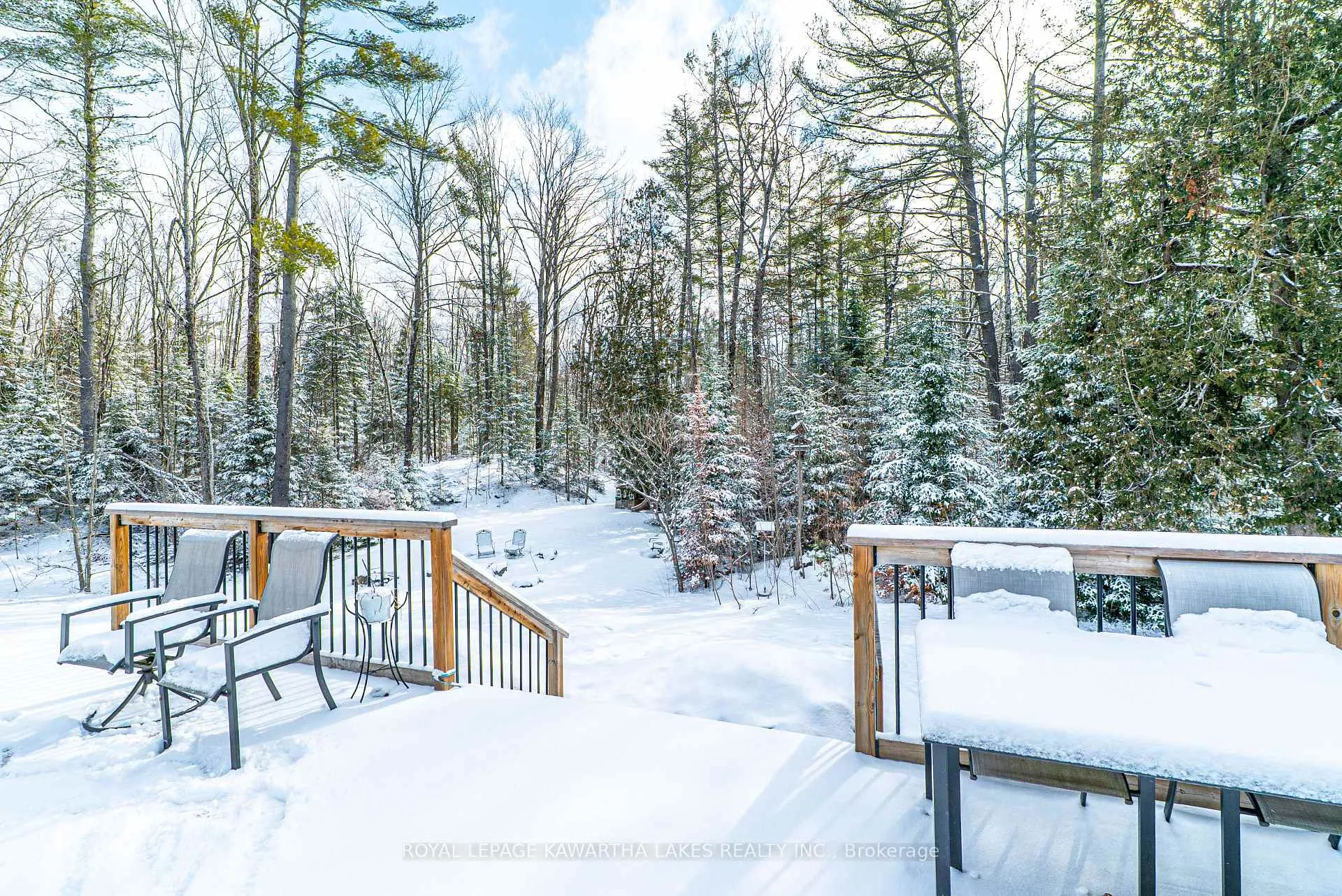Photo 41 of 914 County Rd 49, Trent Lakes — HOMEH