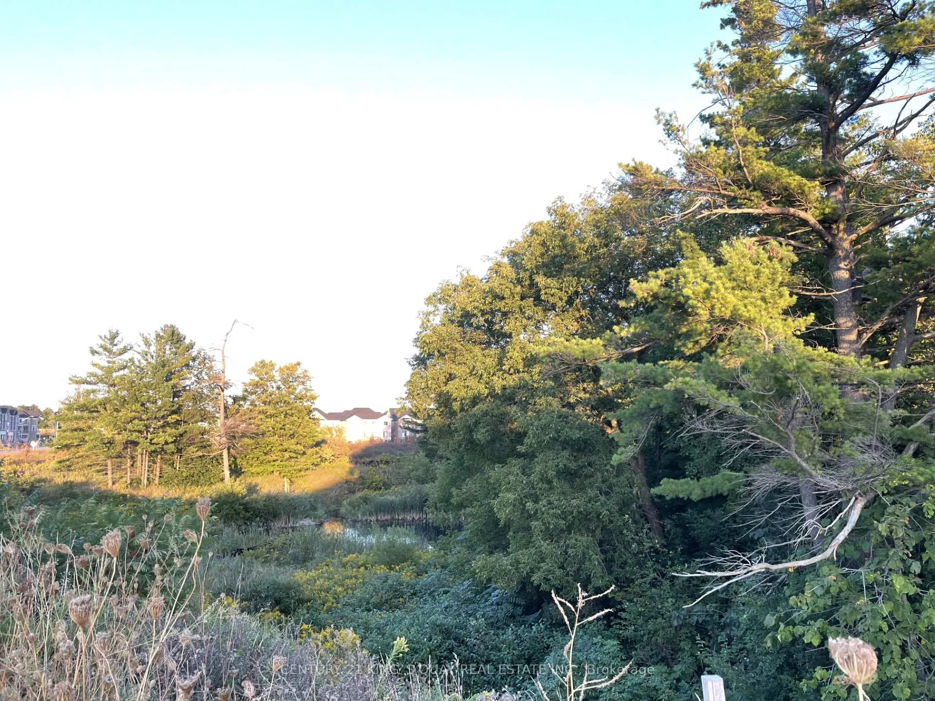 Photo 34 of 27 Thomas Hope Lane, Markham, Cedarwood — HOMEH
